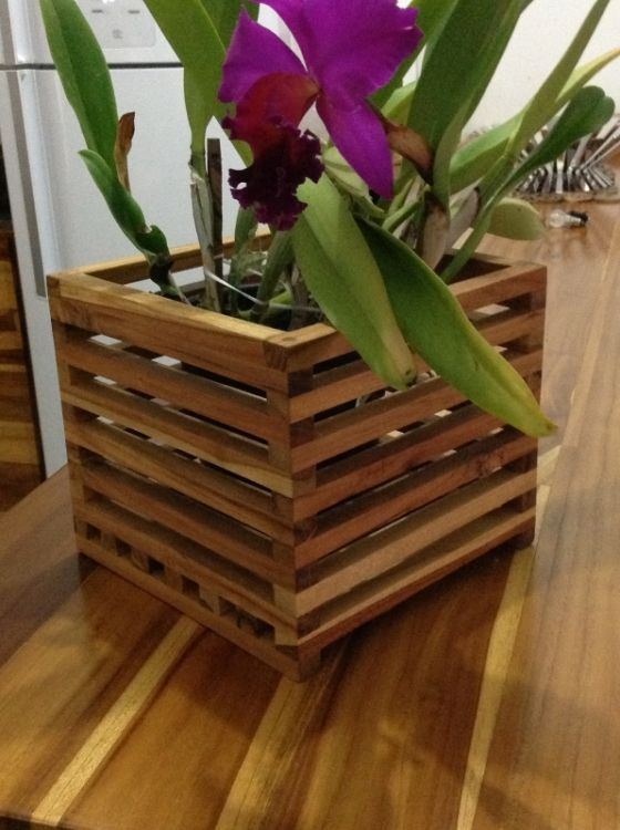 cachepo quadrado de madeira para orquideas